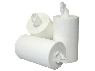 Poetsrol Blanco Mini 2-Laags zonder koker 20cmx60m 12rol - 1