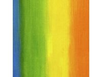 Toonbankrol Kangaro kraft rainbow 60 grams 30 cm breed 250 meter
