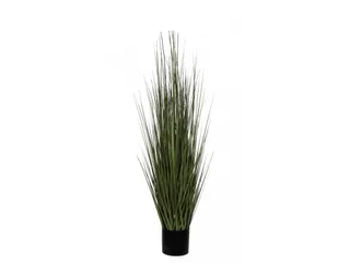 Gras 122cm - 1