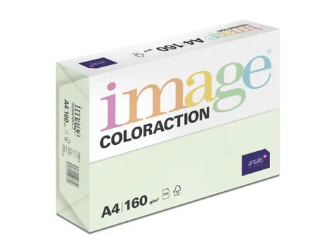 Kopieerpapier Jungle Lichtgroen A4 160 Gram 250 Vel