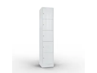 lockerkast 1950x396x540mm 1x5 vakken RAL7035 front RAL7035 sokkel - 1