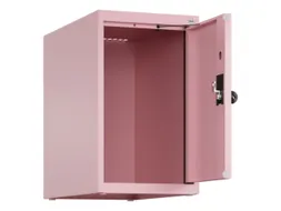 opzetkast,v. locker,1vak.,vak B 300mm,HxBxD 500x300x500mm,draaigrendel