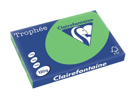 Trophée Intens gekleurd papier A3 120 gram 250vel Grasgroen