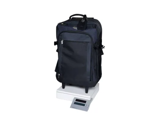 Pakketweger MAUL Parcel S 30x30cm solar 50kg