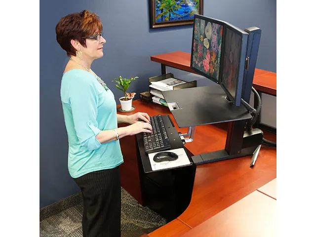 Werkstation Sta Bureau Workfit S Duo Zwart