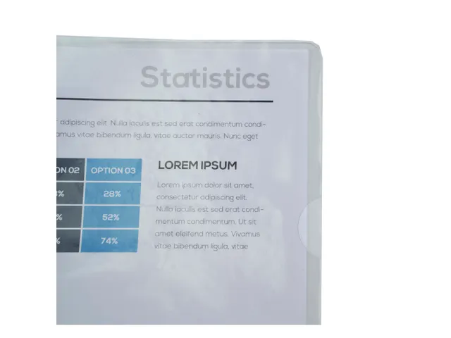 100 L-Mappen A4 0.13mm Gladde Pvc Clear Sterke Kwaliteit