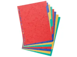 Tabbladen glanskarton 225g 8-delig A4 Assorti