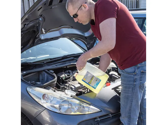 Ruitenvloeistof ProPlus zomer kant en klaar 5 Liter