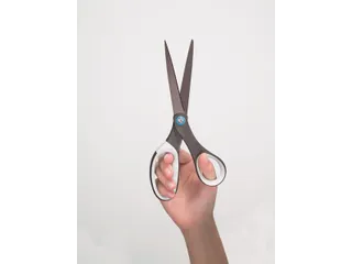 Schaar Scotch 20cm titanium blister - 8