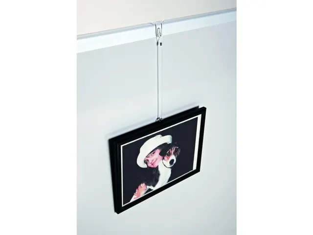 Smit Visual Set flexibele wandhaak voor scheidingswanden