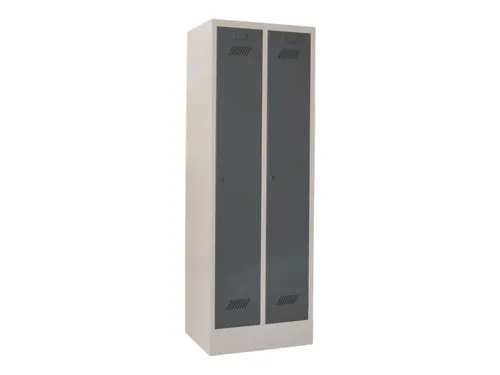 locker,HxBxD 1850x600x500mm,2vak,vak B 300mm,RAL7035,front RAL7016