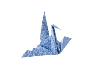 Vouwblaadjes Folia 80gr 15x15cm 50 vel 2-zijdig Japan 10 designs assor - 5
