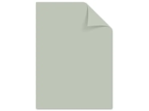 Papier Kangaro A4 160 grams pastel grijs pak 50 vel