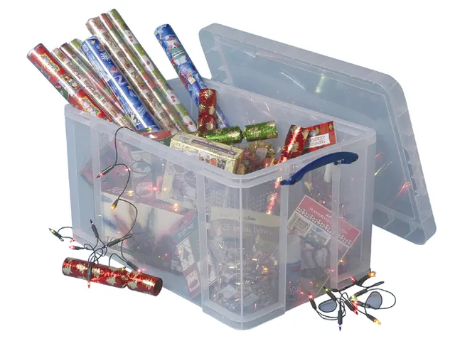 Opbergdoos 84 Liter Transparant Standaard