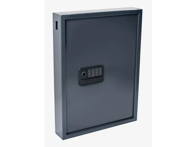 Sleutelkast Pavo High security advanced 50 haken 550x380x100mm