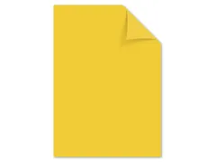 Papier Kangaro A4 120grs goudgeel pak 100 vel