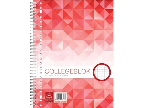 Collegeblok 23r Work A4 5mm Ruit