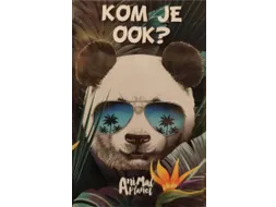 Uitnodigingen Panda 13.5x9cm