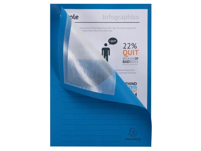 50 Venstermappen Forever 22x31cm Assorti