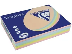 Trophée Pastel gekleurd papier A4 160 gram 250vel Assorti