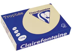 Trophée Pastel gekleurd papier A4 120 gram 250vel Chamois