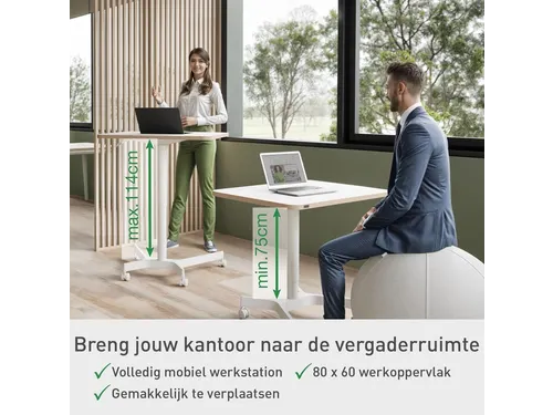 Leitz Ergo Zit-Sta bureau Mobiel 80x60cm klein