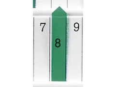 planningspijl,B 7mm,kunststof,groen-transparant