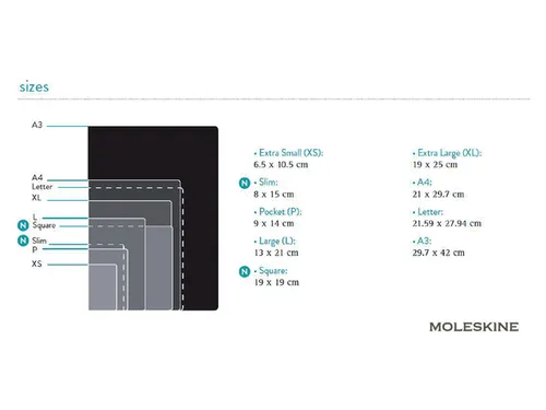 Notitieboek Moleskine large 130x210mm lijn hard cover zwart