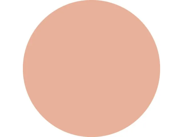 Fineliner STABILO point 88/26 apricot 0.4mm