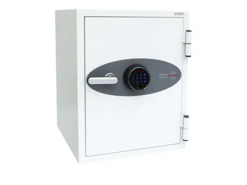 brandkast,60-90min. brandveiligheid,HxBxD 640x500x500mm,1niveaus