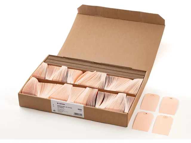 HERMA 6045 Hanglabel 48x95mm Bruin karton met oogje 1000 stuks