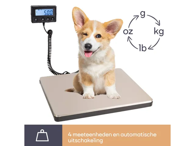 Digitale Postweegschaal Met Extern Display - 100kg / 10g