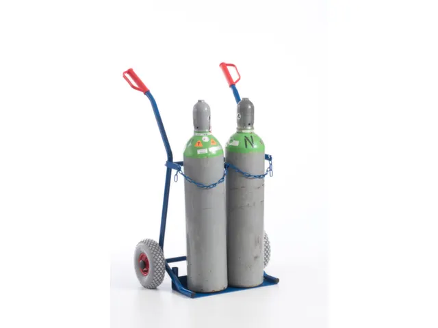 Diable Pour Bouteilles Force 100 kg 2bouteilles De 20 l Bandage Pneu