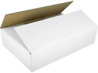 Verzenddoos Raadhuis Inw: 586x386x186mm EB-golf wit - 1
