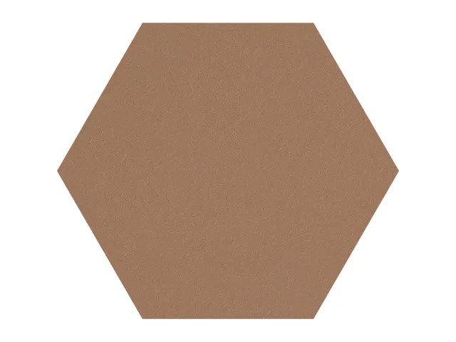 Prikbord Zeshoek Bruin Kleur 2166 Bulletin Paneel Ø 60 cm frameloos