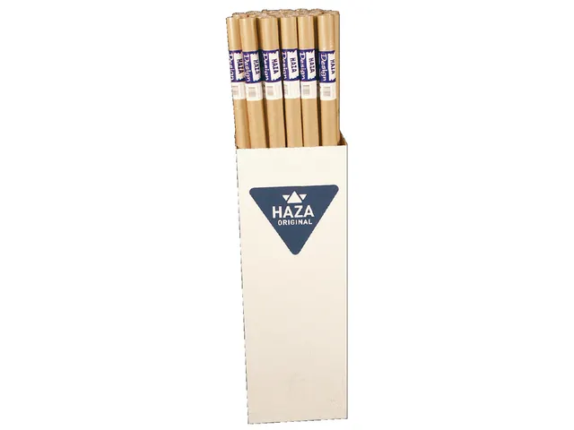 Inpakpapier HAZA Kraft gestreept 70gr 100cmx5m op rol