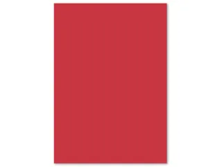 Papier Kangaro A4 80grs rood pak 100 vel - 3