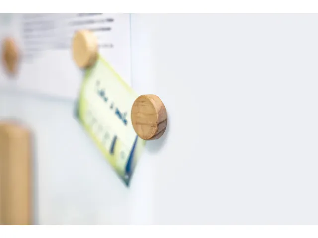 Magneten Sigel rond hout 4 stuk