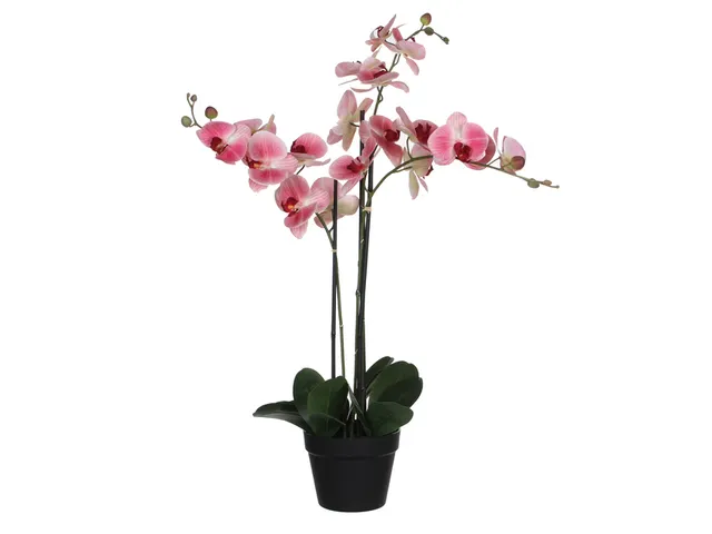 Kunstplant Mica Phalaenopsis orchidee roze in plastic pot 79x51cm