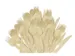 Ensemble de couverts bois Kangaro 200 pces 70x Cuillère,65x Fourchett