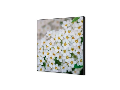 Wanddecoratie Textiel Set 40x40cm Witte Bloem Spirea