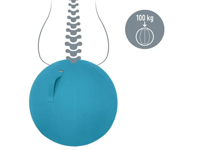 Leitz Ergo Cosy Actieve Zitbal Fluweel Sereen Blauw