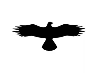 sticker,Buizerd,PVC,zwart,zelfklevend,HxB 145x367mm - 1