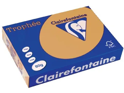 Trophée Pastel gekleurd papier A4 80 gram 500vel Caramel bruin