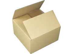 Verzenddoos Raadhuis 200x200x110mm 10 stuks