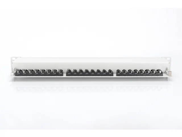 Digitus CAT 6A Klasse EA Patchpanel Afgeschermd