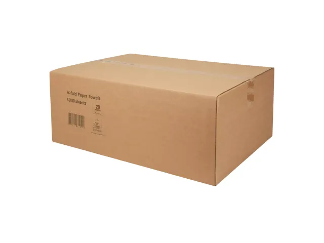 Z-vouw Handdoek 209450 Tissue 2-Laags 22x22.5cm 5000 Stuks