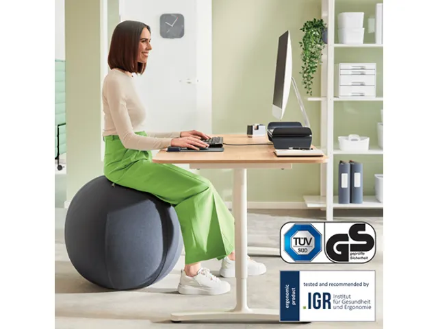 Ballon d'assise Leitz Ergo anti-basculement 55cm gris foncé