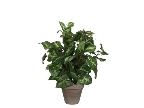 Kunstplant Mica Syngonium groen in pot 35x25cm