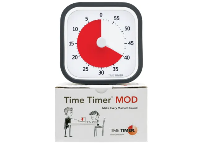Time Timer MOD home